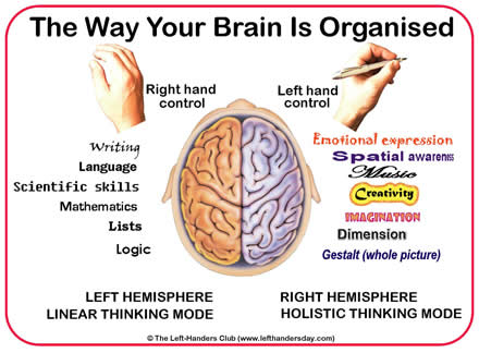 Left Handed Facts - Being left-handed